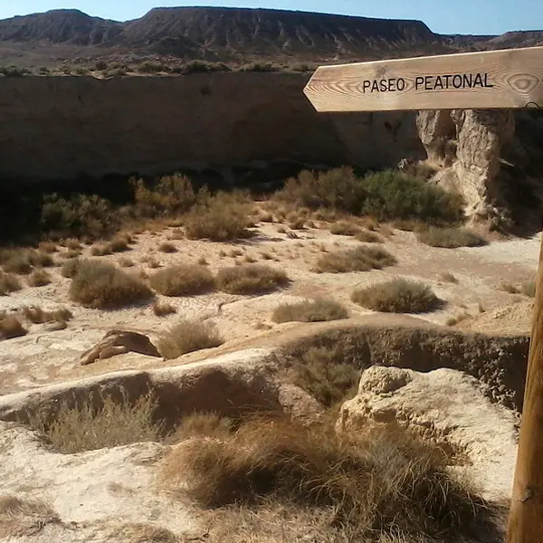 Bardenas Reales