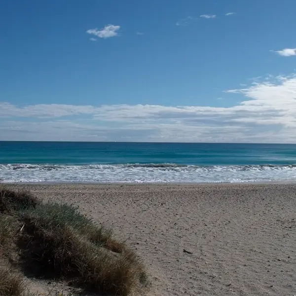 Playa del Saler